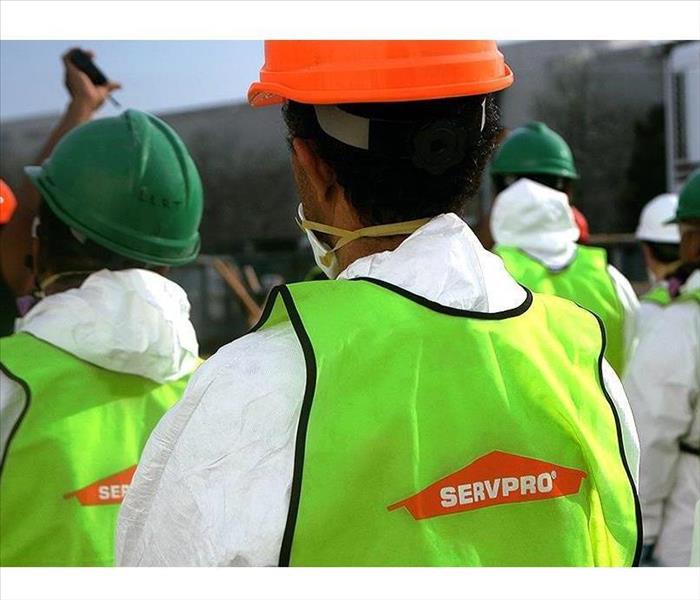 a line of employees wearing PPE, helmets and safety vests